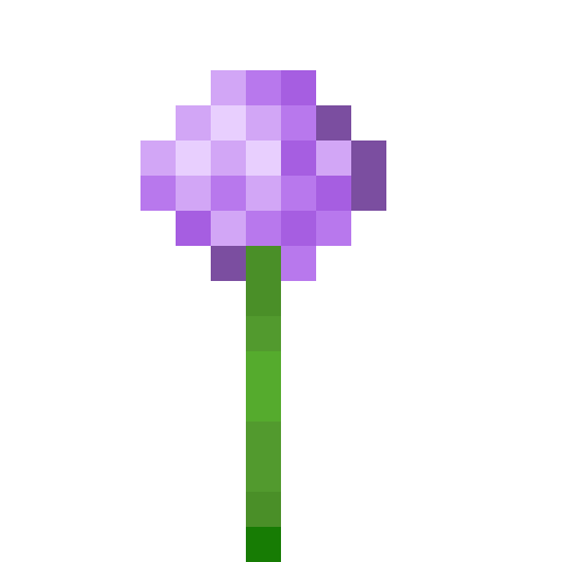 Allium - Flat View