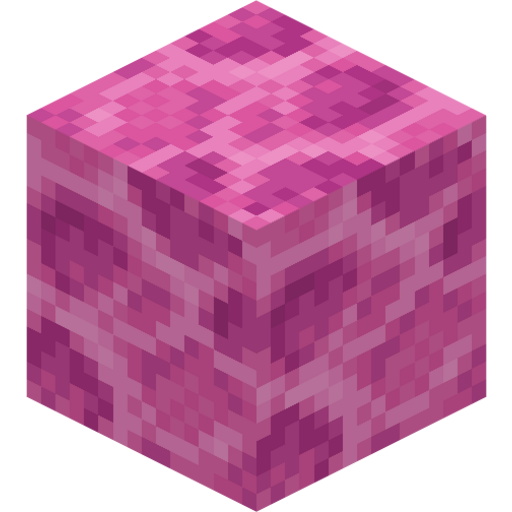 Brain Coral Block