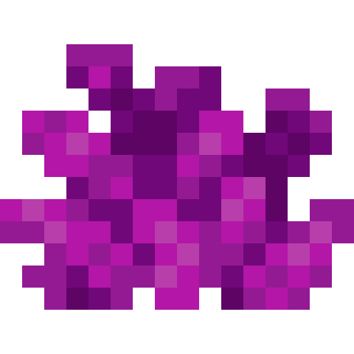 Bubble Coral
