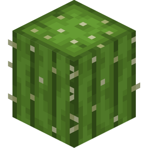Cactus - 3D View