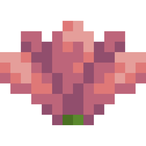 Cactus Flower