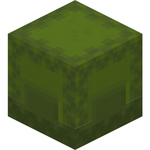 Green Shulker Box - Flat View