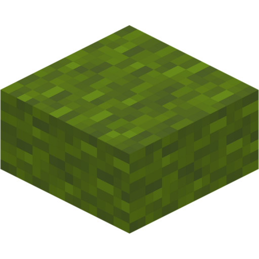 Green Wool Slab - 3D View