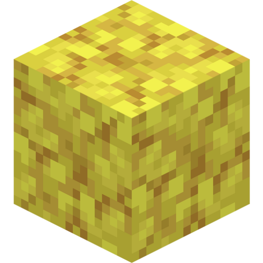 Horn Coral Block