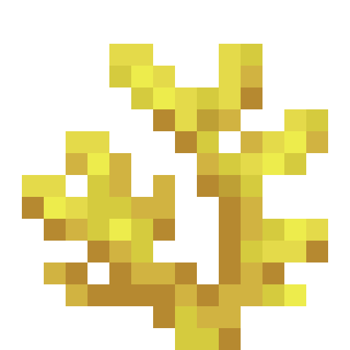 Horn Coral - Flat View