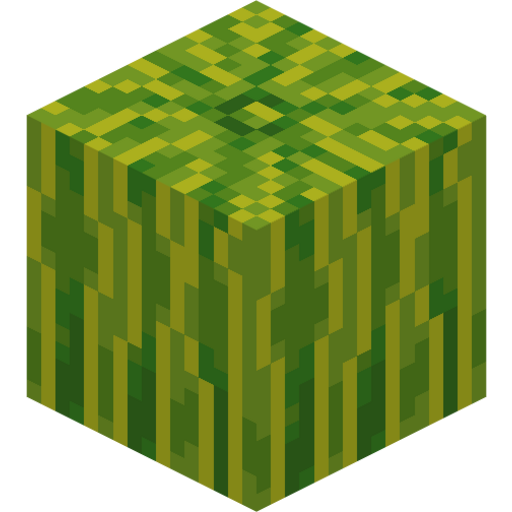 Melon - 3D View