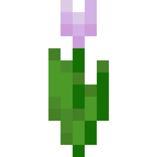 Pink Tulip