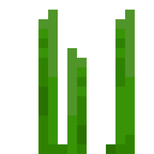 Tall Seagrass