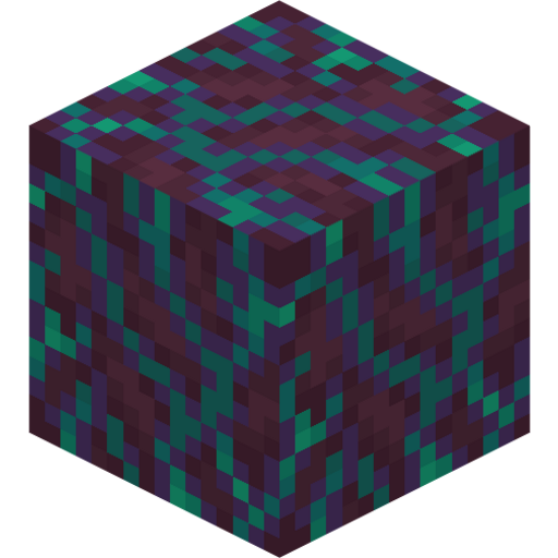Warped Hyphae - 3D View