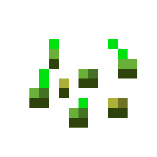 Wheat Seeds