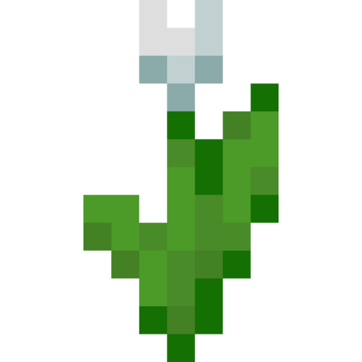 White Tulip