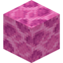 Brain Coral Block