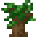 Dark Oak Sapling