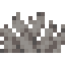 Dead Bubble Coral Fan