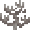 Dead Fire Coral