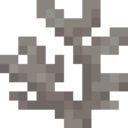 Dead Horn Coral