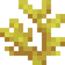 Horn Coral