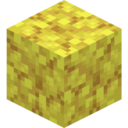 Horn Coral Block