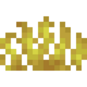 Horn Coral Fan
