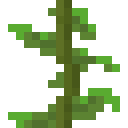 Kelp Plant