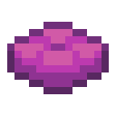 Magenta Cushion