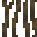 Mangrove Roots