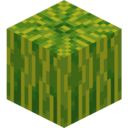 Melon