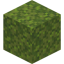 Moss Block
