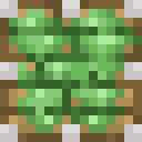 Piston Top Sticky
