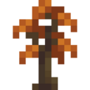 Poplar Sapling