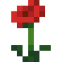 Poppy