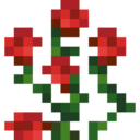 Rose Bush