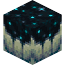 Sculk Catalyst