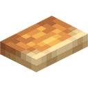 Shelf Mushroom