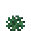 Sweet Berry Bush