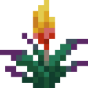 Torchflower
