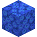 Tube Coral Block
