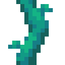 Twisting Vines Plant