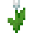 White Tulip