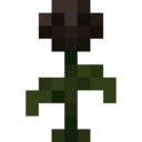 Wither Rose